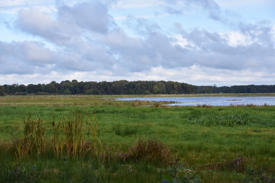 Meertje - Weer en landschap - 