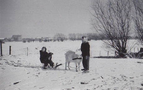 opgroeien op een boerderij jaren '50