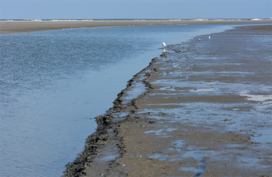 opkomende Noordzee - Weer en landschap - 