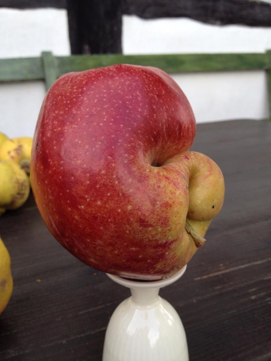 Pijprokend mannetje? - Overig - 