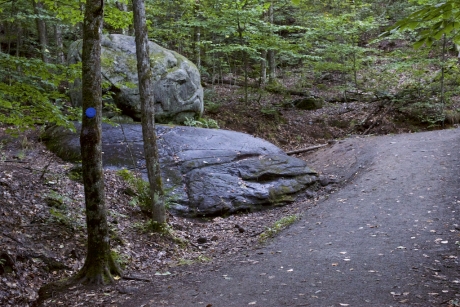 Prehistorische verschijningen