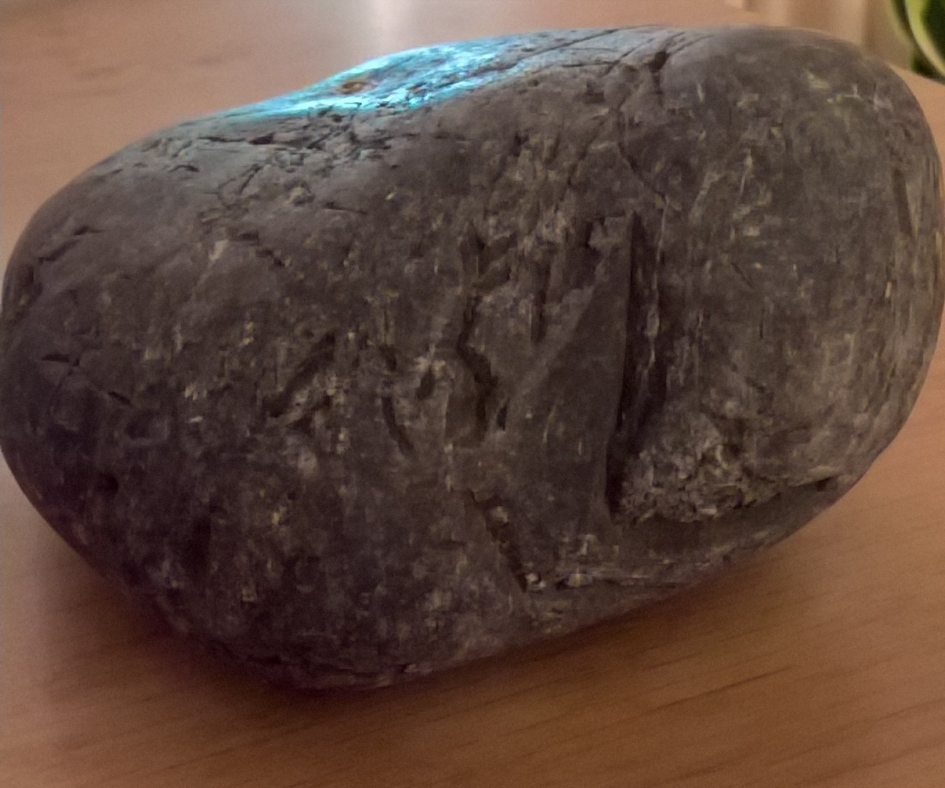 rustende vogel - Overig - Els