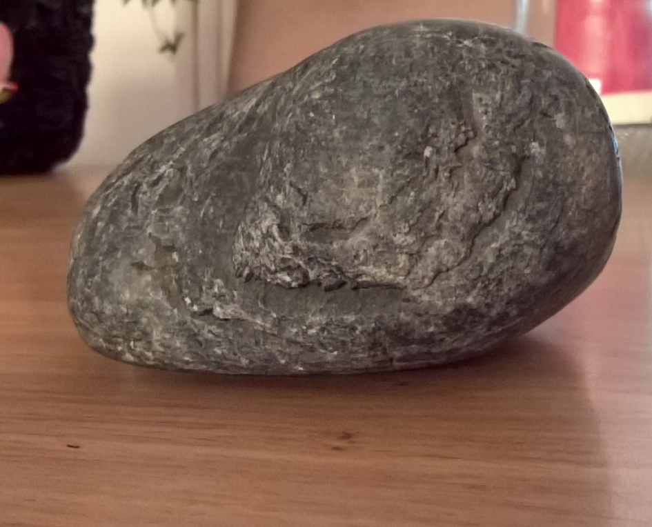 rustende vogel - Overig - Els