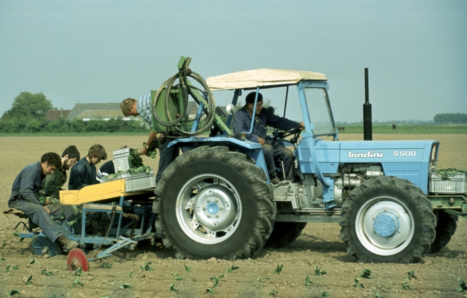 Spruiten planten - Weer en landschap - 
