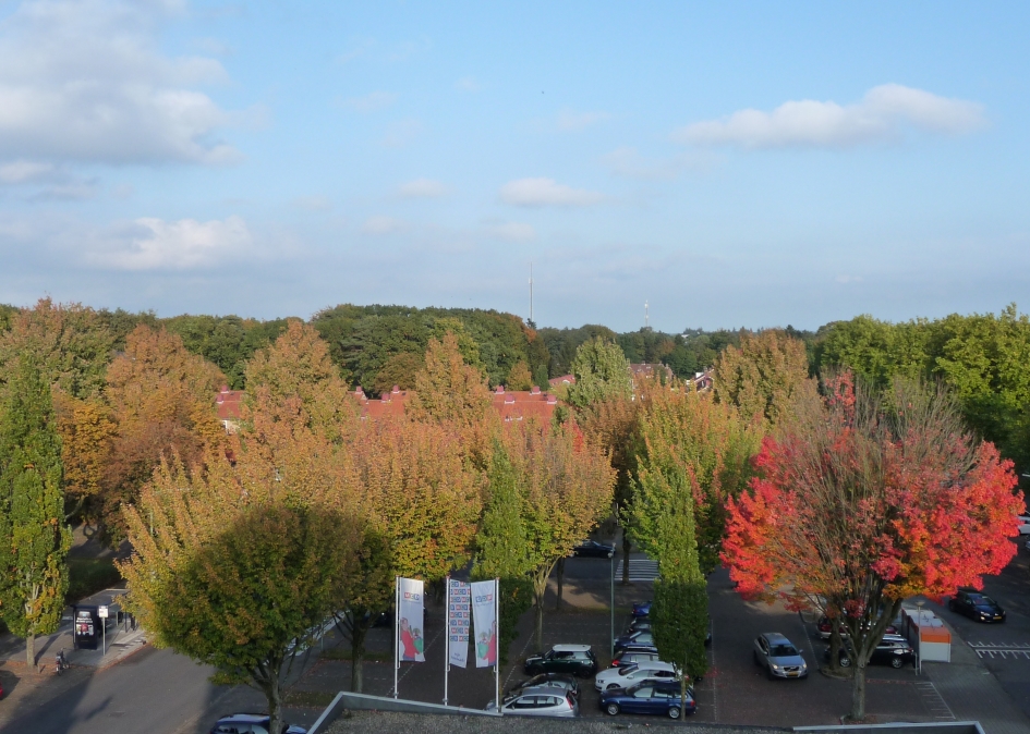 Uitzicht - Planten - 