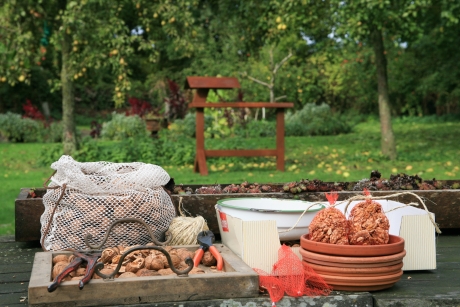 Vogelvoedertafeltijd