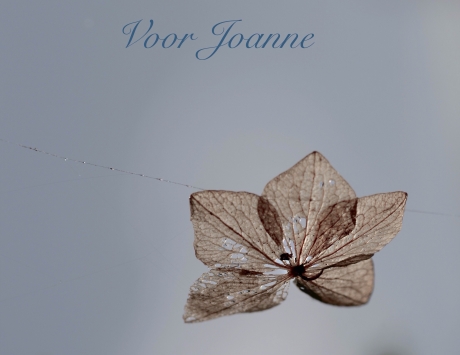Voor Joanne