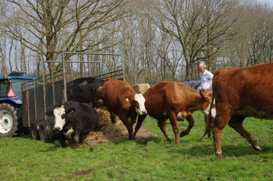 Voorjaar in de Kop - Weer en landschap - 