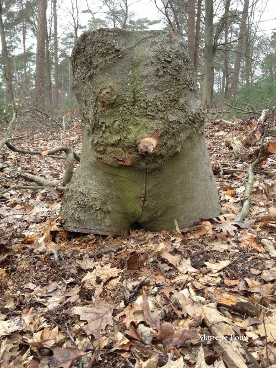 Vrouwentorso - Overig - 