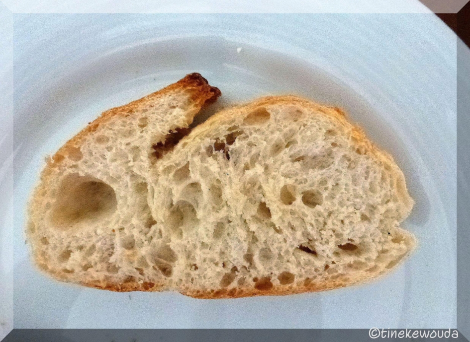 Vakantiekonijn - Overig - 