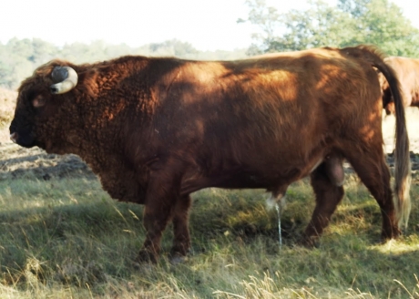 Hè hè, dat lucht op. Ik moest zo nodig.