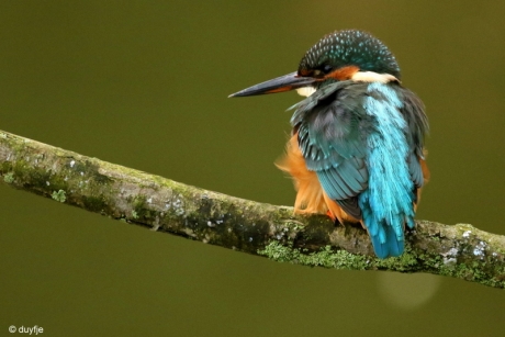 Daar word je warm van.