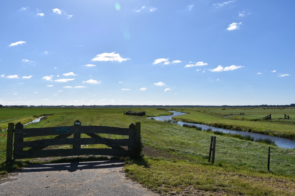 Eemland polder - Weer en landschap - 
