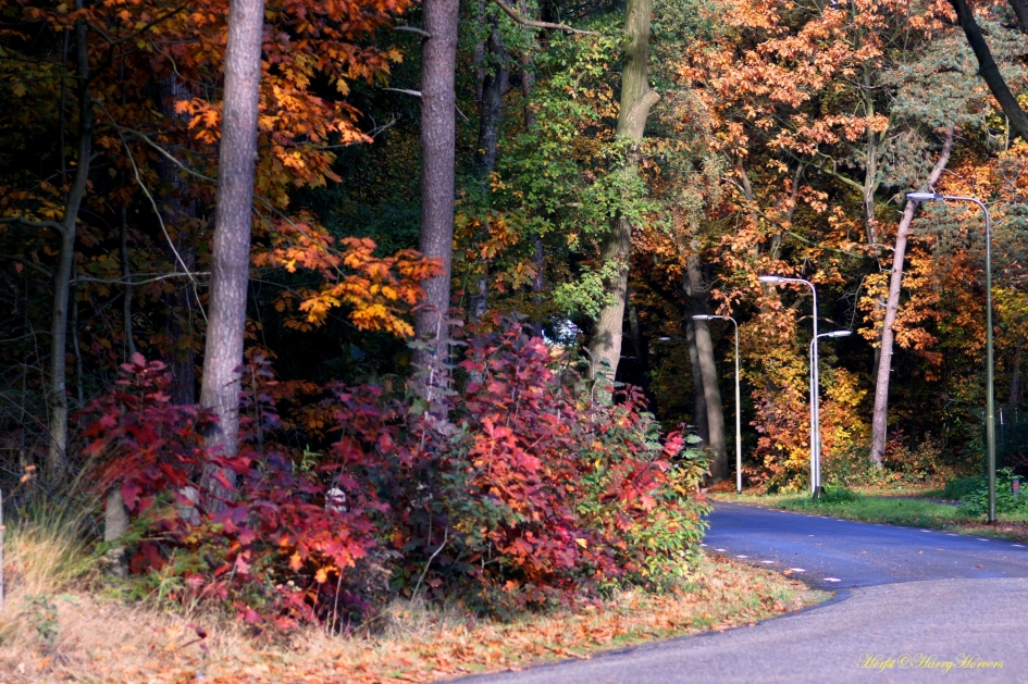 Herfst - Weer en landschap - Herfst