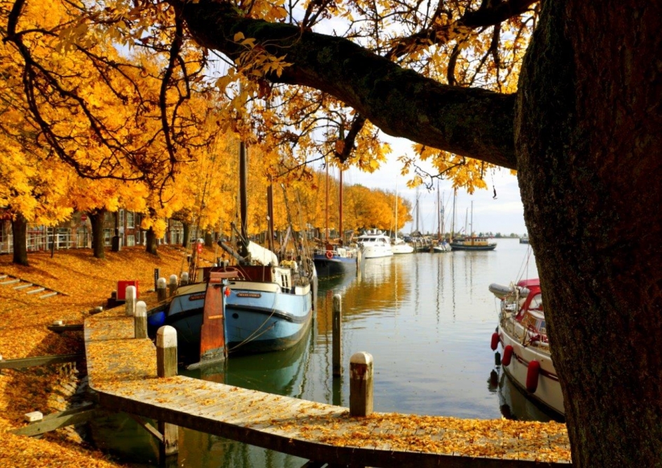 Herfst goud - Weer en landschap - Haven zicht