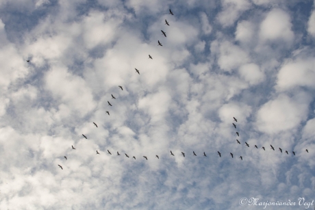 In vogelvlucht