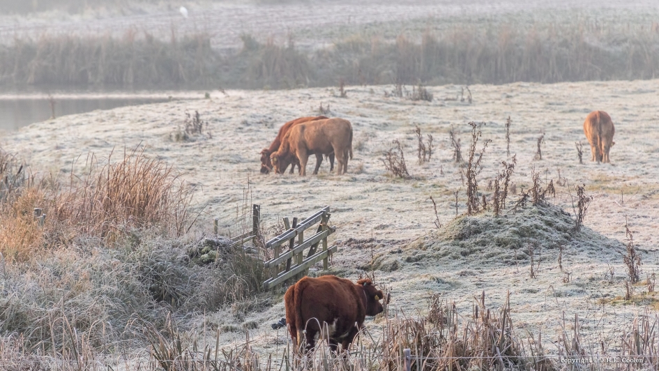 Koude start... - Weer en landschap - 