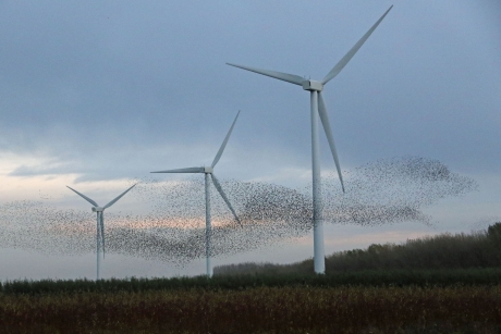 Kruip door, sluip door..