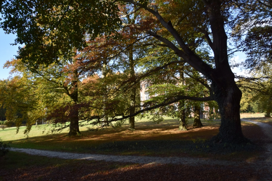 Landgoed De Breul - Weer en landschap - 