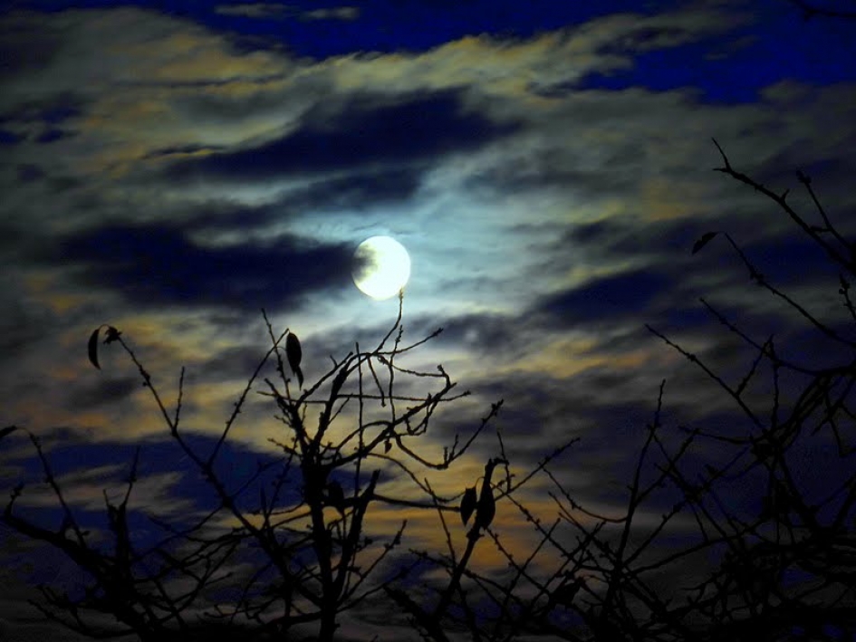 Maansopgang Supermoon - Weer en landschap - 
