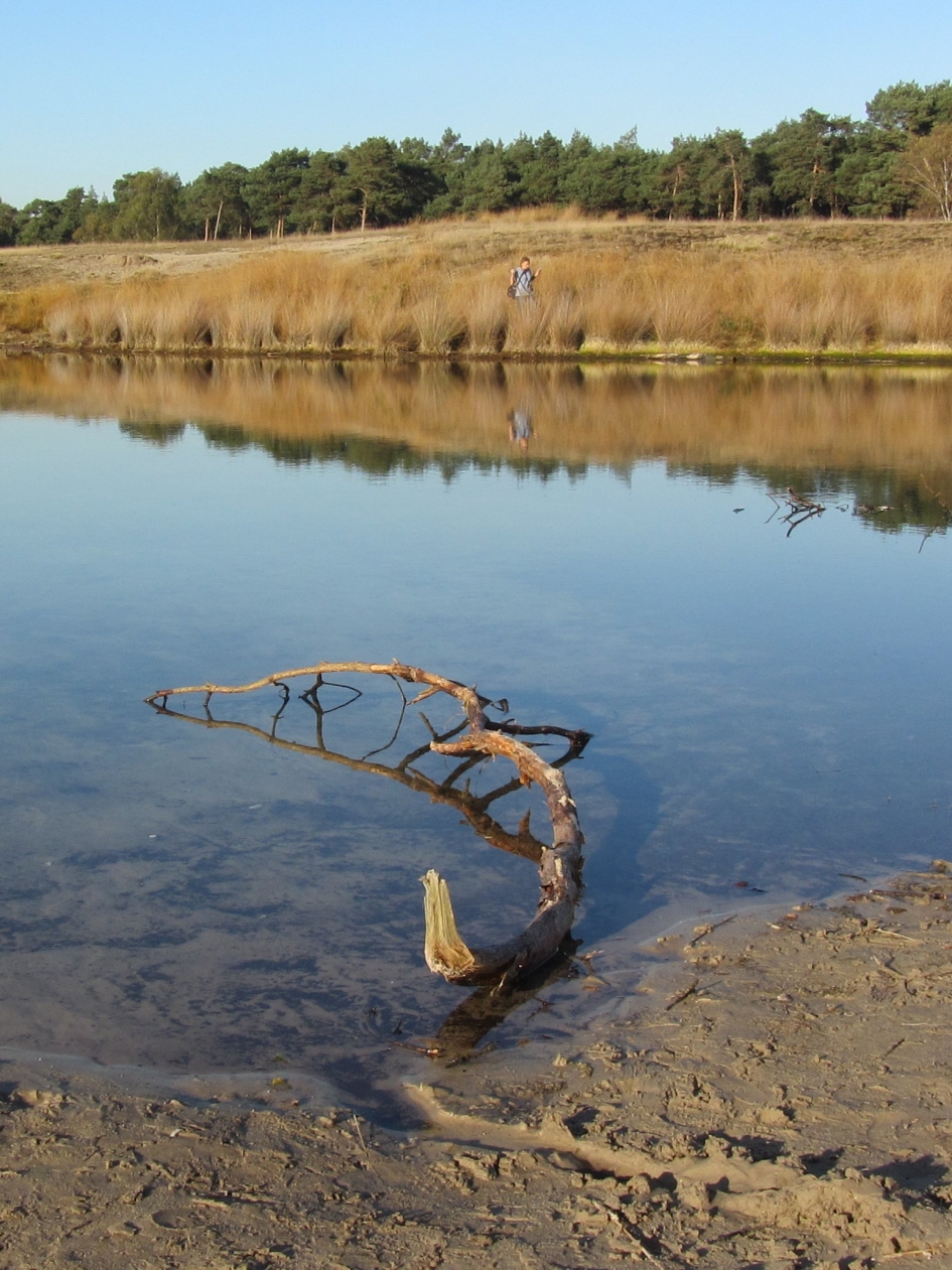 monster van Loch Heidestein - Overig - 