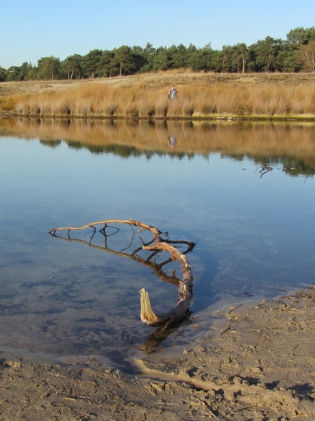 monster van Loch Heidestein