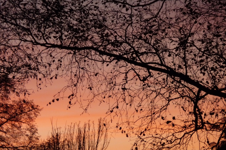 Oranje - Weer en landschap - 