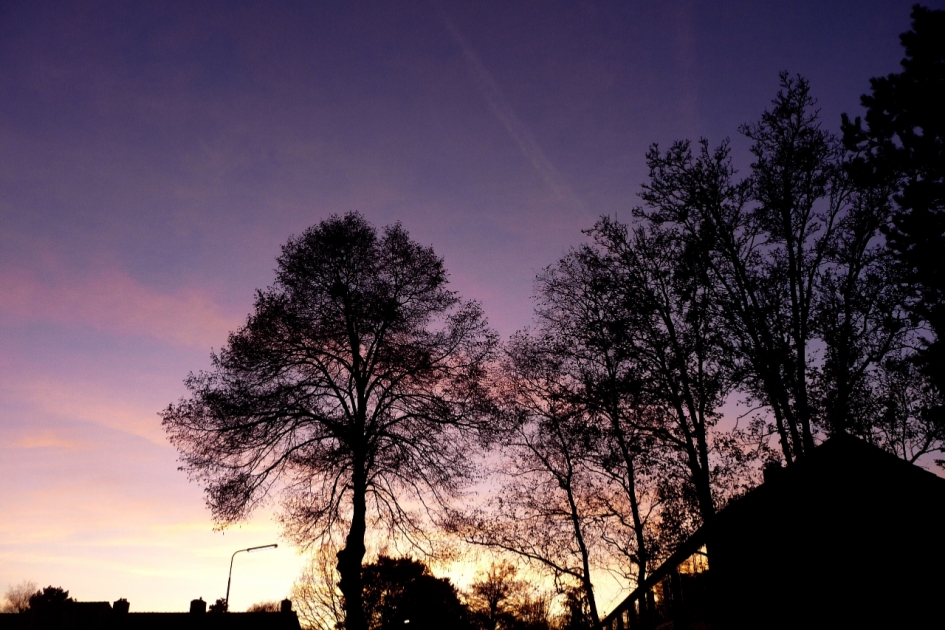 Paars - Weer en landschap - 