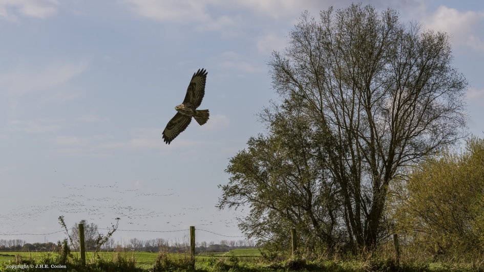 Prettig... - Weer en landschap - 
