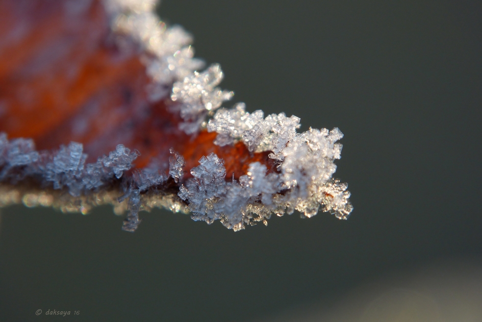 Rijp - Weer en landschap - 