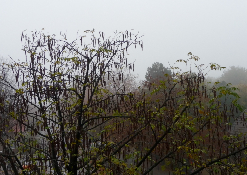 Saai - Weer en landschap - 