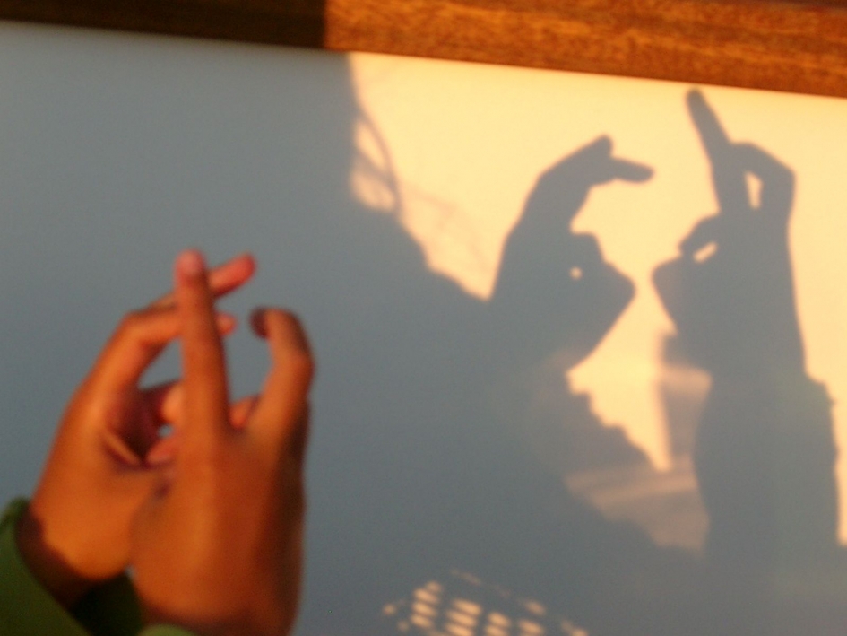 Schaduwkonijnen - Overig - 