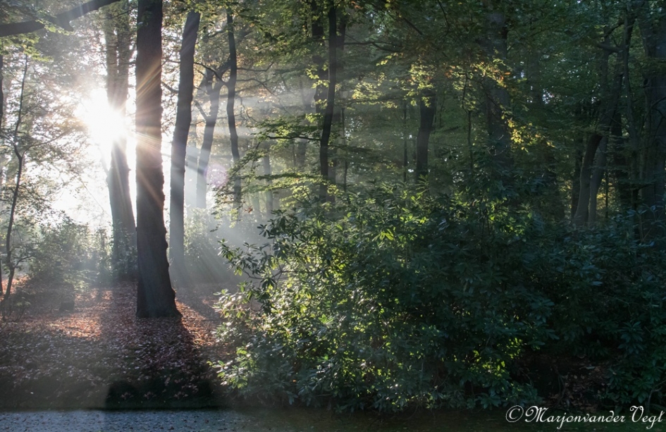 Stralende ochtend - Weer en landschap - Zonsopkomst