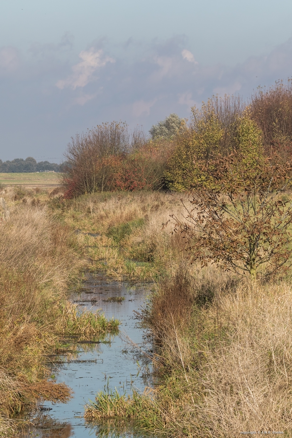 Water in de sloot. - Weer en landschap - 