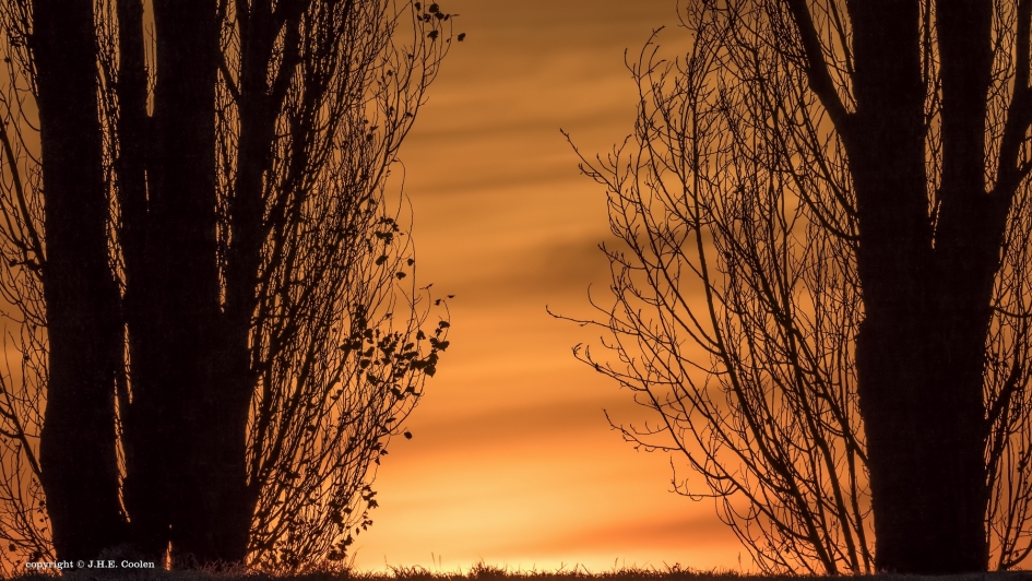 Afsluiting - Planten - 