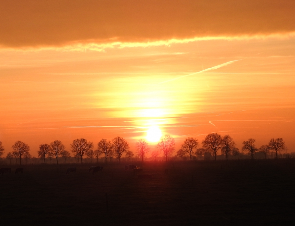 Avondrood - Weer en landschap - 