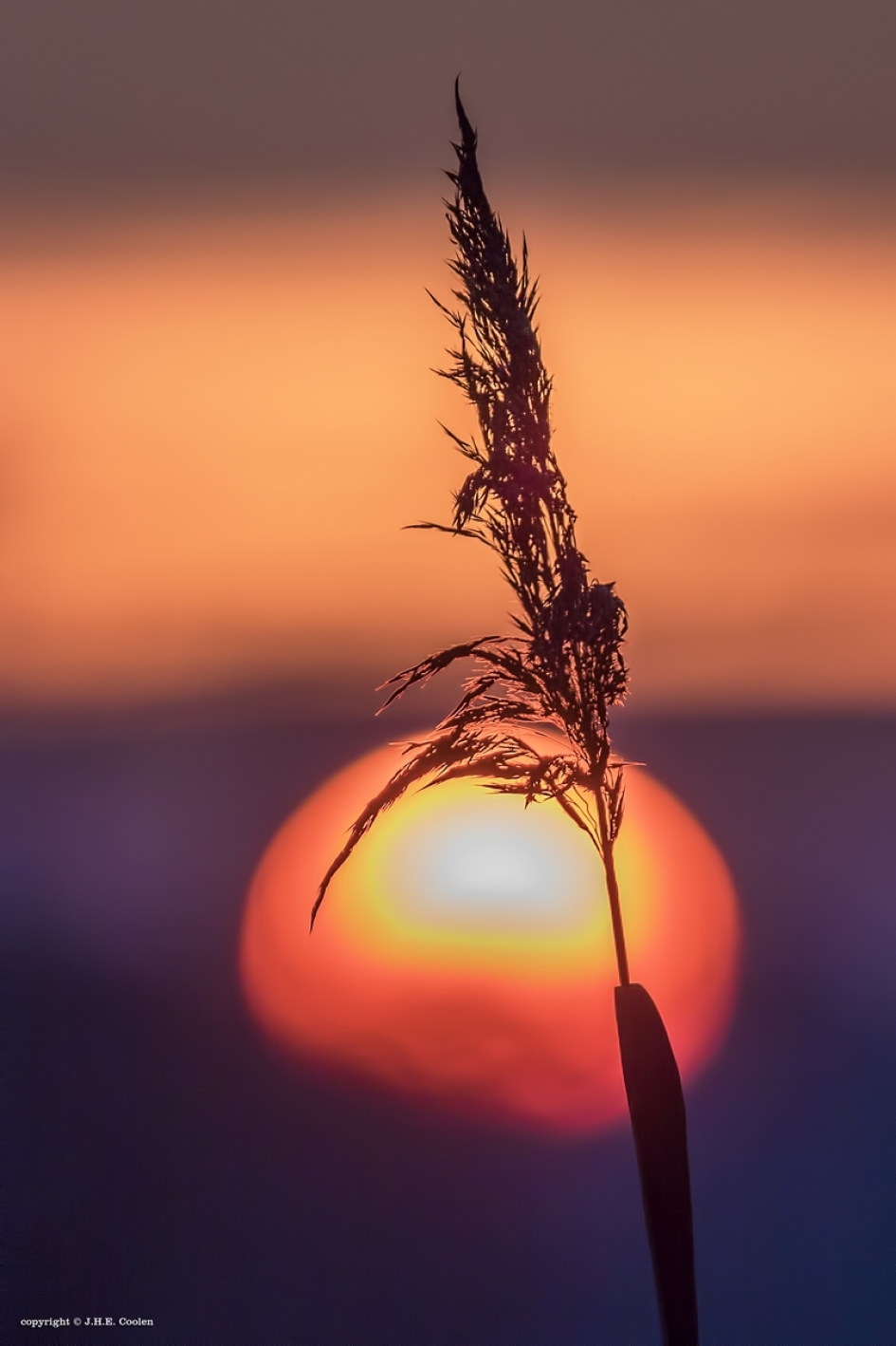 Bijna - Weer en landschap - 