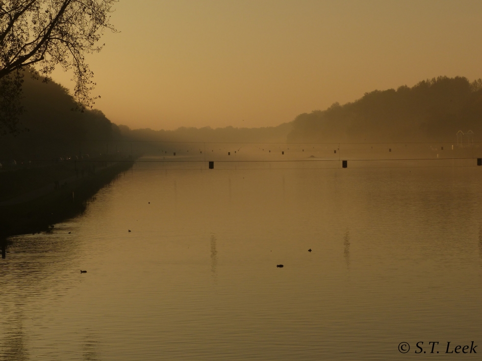 Bosbaan bij zonsondergang - Weer en landschap - 