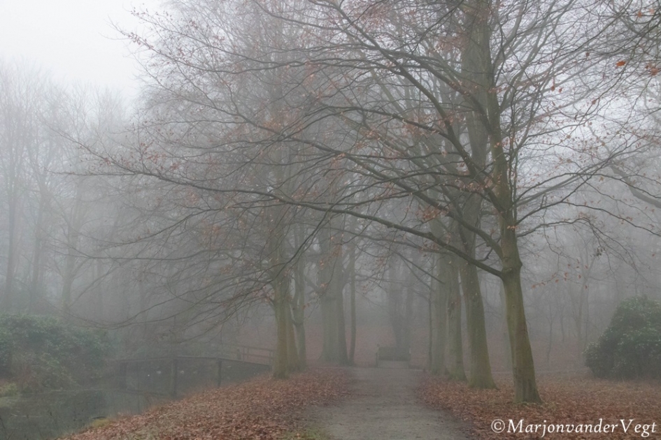 De beste wensen voor iedereen - Weer en landschap - bos