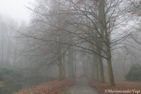 De beste wensen voor iedereen