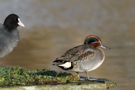 Goh, wat een mooie kleuren!