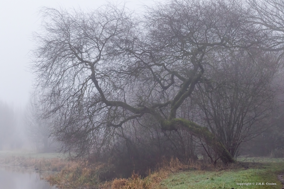 Grauwe ochtend - Weer en landschap - 