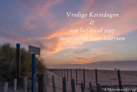 'n gezond, vredig,  en fotorijk 2017 toegewenst