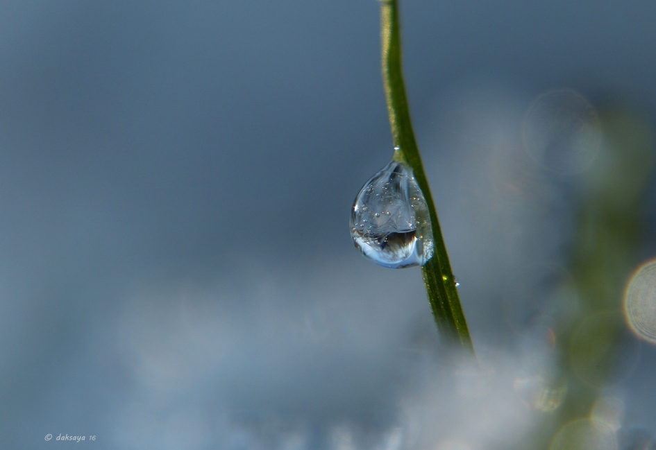 IJsdruppel - Weer en landschap - 