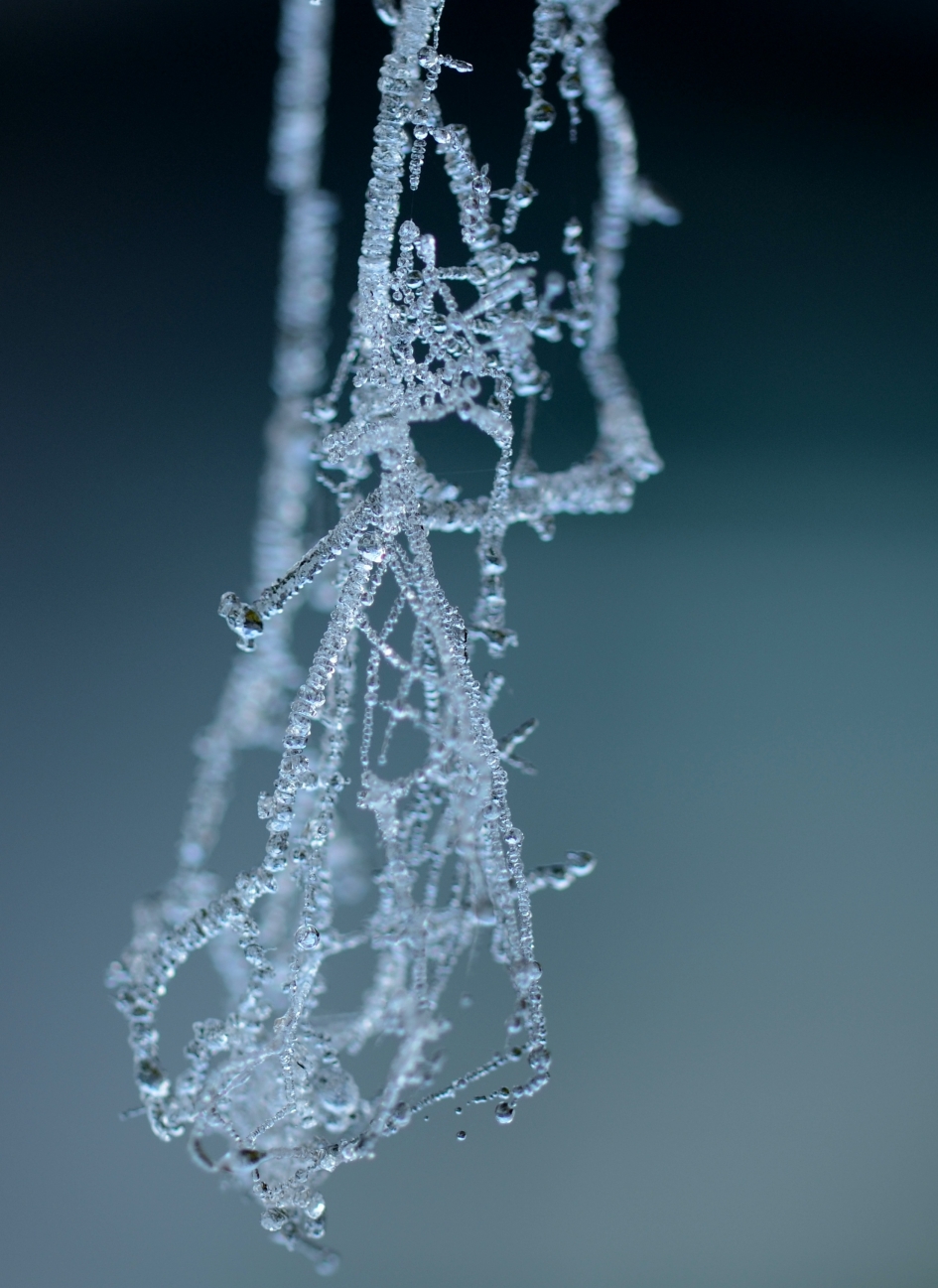 IJskoud - Overig - Spinrag