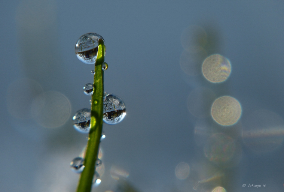 IJzige druppels - Weer en landschap - 