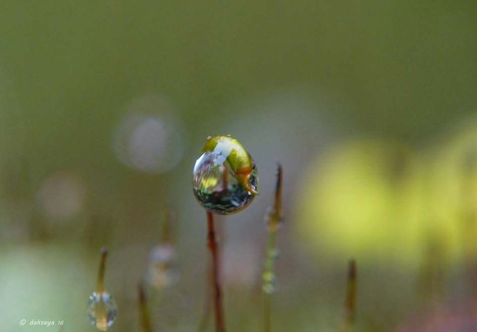 Kerstbal - Weer en landschap - 