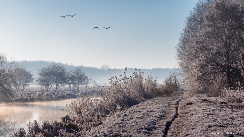 Koude ochtend - Weer en landschap - 