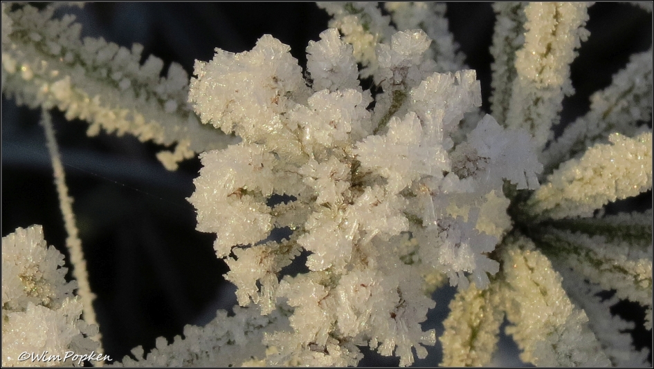 Kunst in de natuur - Weer en landschap - 