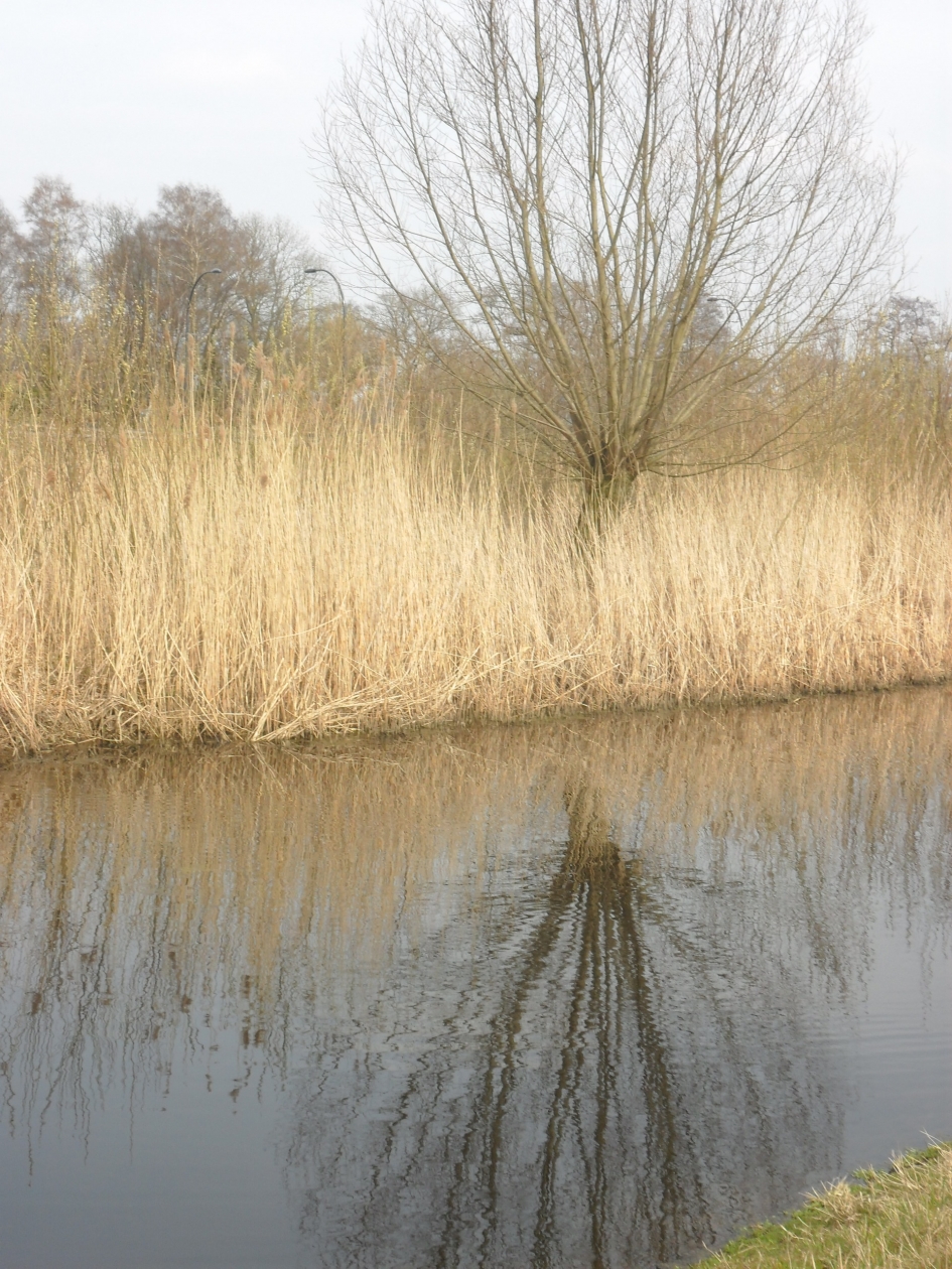 Landschap - Weer en landschap - Landschap